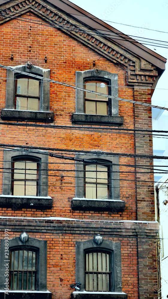 Fototapeta premium レンガ住居