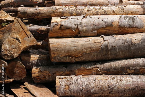 Pile stack of wood logs in forest deforestation logging