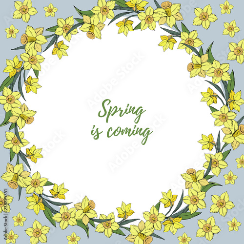 Fototapeta Naklejka Na Ścianę i Meble -  Vector template banners or flyers with floral yellow narcissus wreath and space for text, hand draw