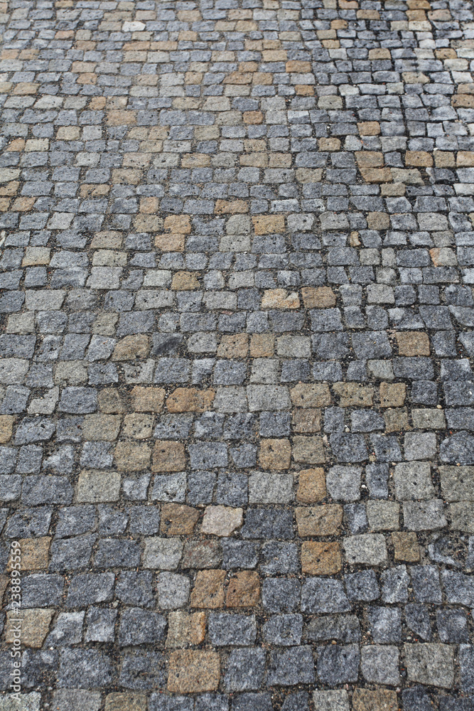 Concrete tiles path