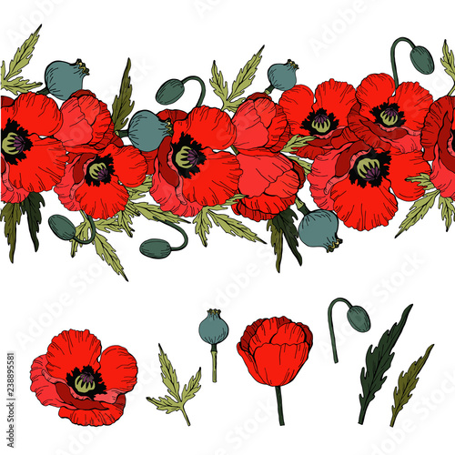 Fototapeta Naklejka Na Ścianę i Meble -  Set of Hand drawn elements of red Poppies and flower brush ,Vector