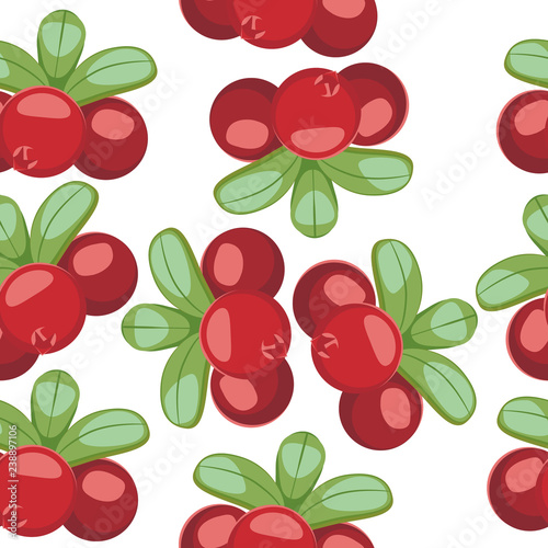 Fototapeta Naklejka Na Ścianę i Meble -  pattern with Cowberry Lingonberry