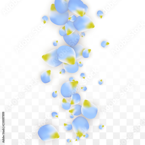 Vector Realistic Blue Petals Falling on Transparent Background.  Spring Romantic Flowers Illustration. Flying Petals. Sakura Spa Design. Blossom Confetti.