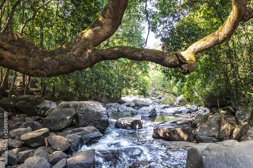 Fototapeta Naklejka Na Ścianę i Meble -  Dudhsagar Waterfall, Goa, India.