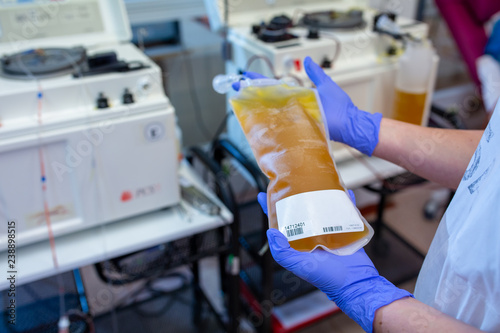 Foto Nurse holding a plasma bag in a modern hospital transfusion unit