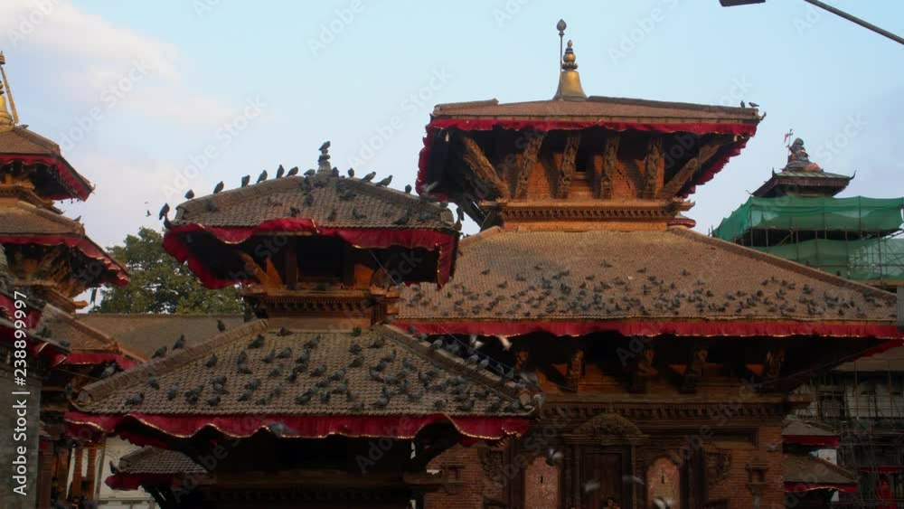 Pigeons Sitting on Roof at Durbar Square in Kathmandu, Nepal Pigeons Sitting on Roof at Durbar Square in Kathmandu, Nepal
