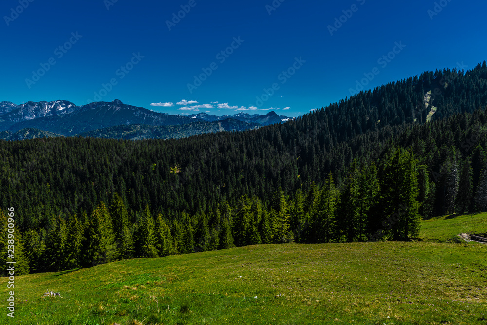 Panorama mit Wäldern und Berggipfel in den Allgäuer Alpen