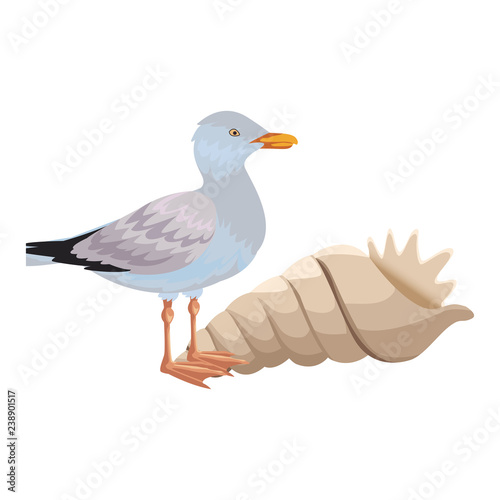 seagull with seashell