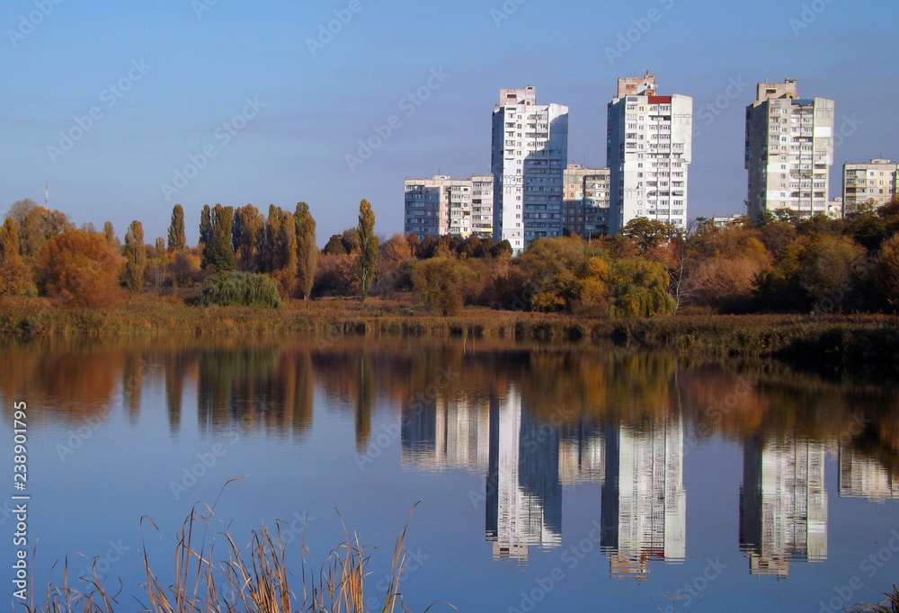 Fototapeta premium central park in the city