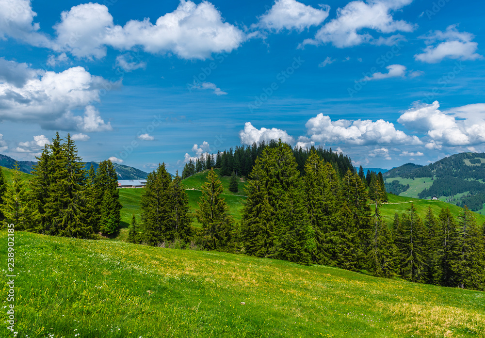Blick über Wiesen mit Blumen und Wälder auf eine Alpe Höllritze Allgäu Blick über Wiesen mit Blumen und Wälder auf eine Alpe Höllritze Allgäu
