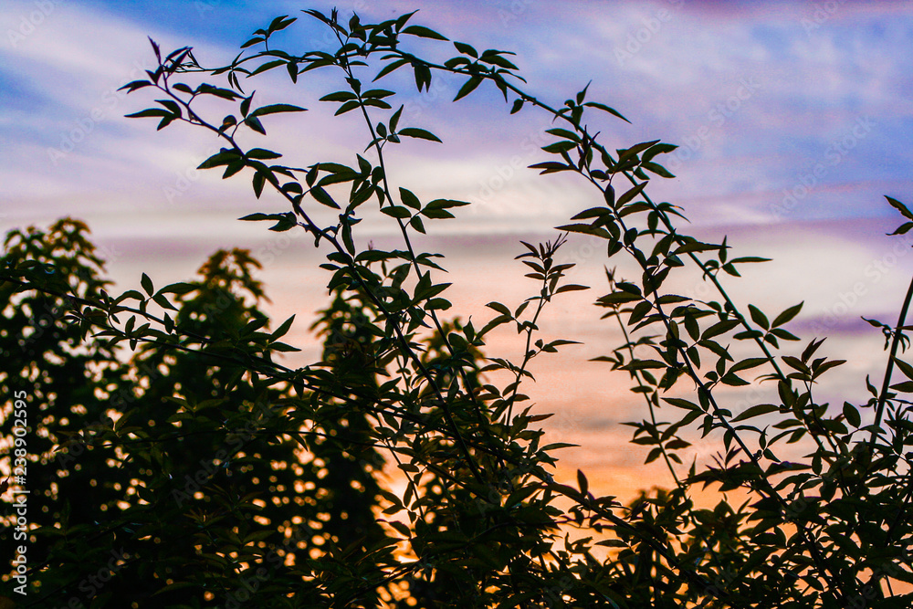 Fototapeta premium coucher de soleil