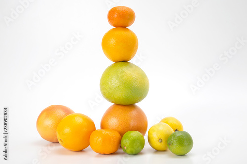 different citrus fruits on white background © photosaint