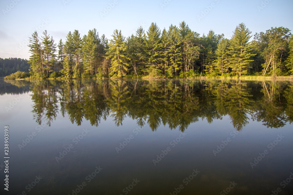 Morning Forest Reflections. Gorgeous wilderness forest reflected in the pristine lake waters of northern Michigan in the Hiawatha National Forest 