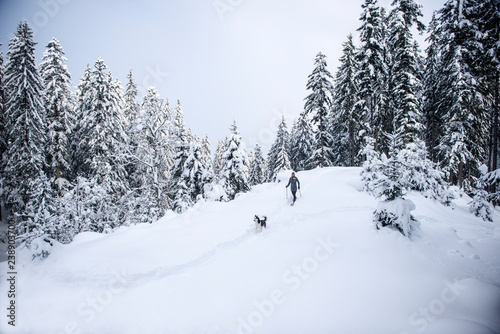 Austria, Altenmarkt-Zauchensee, young woman with dog on snowshoe hike in winter forest © Westend61