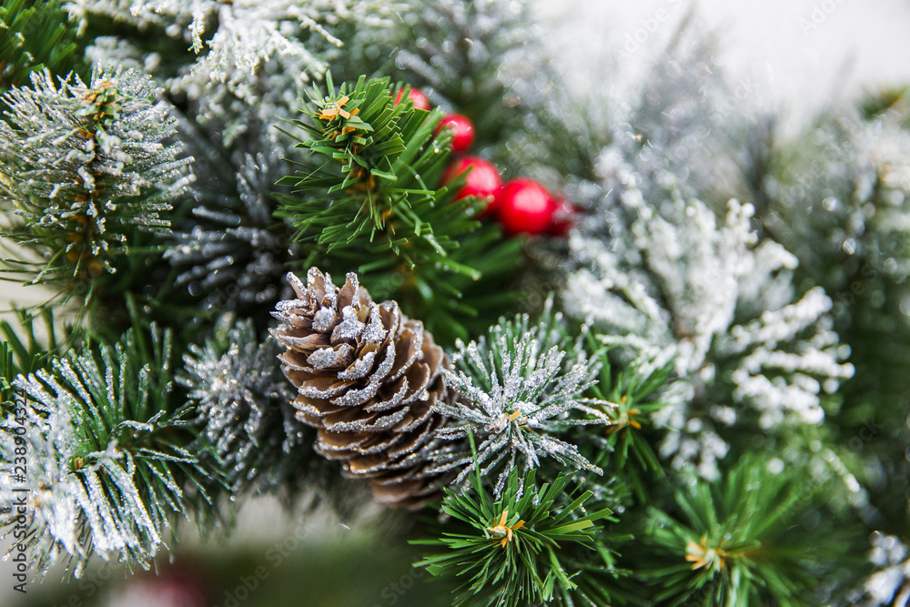 Cones on green branches of christmas tree. New year decorations Cones on green branches of christmas tree. New year decorations