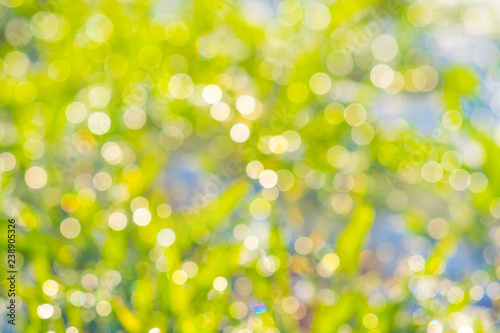 Texture from the bokeh on a light background in green spring colors. Preparation for design_