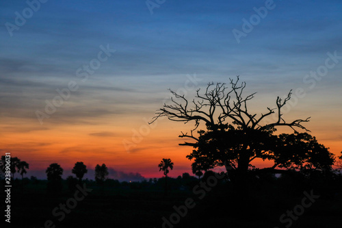 Natural scenery  sunset  evening Environment and nature sky
