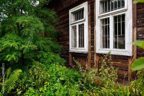 Ancient, abandoned wooden house weathered facade wrapped by plants.. © trialartinf