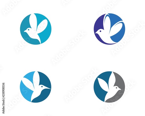Hummingbird vector icon