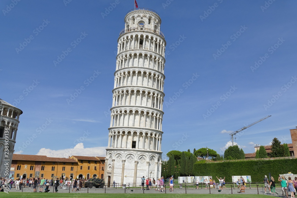 Pisa - Torre pendente in piazza dei Miracoli - obrazy, fototapety, plakaty 