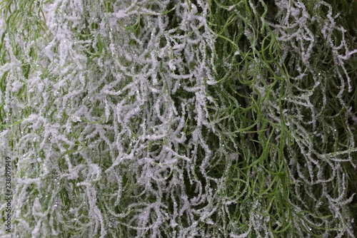 green white texture of new year artificial grass decor in snow and frost