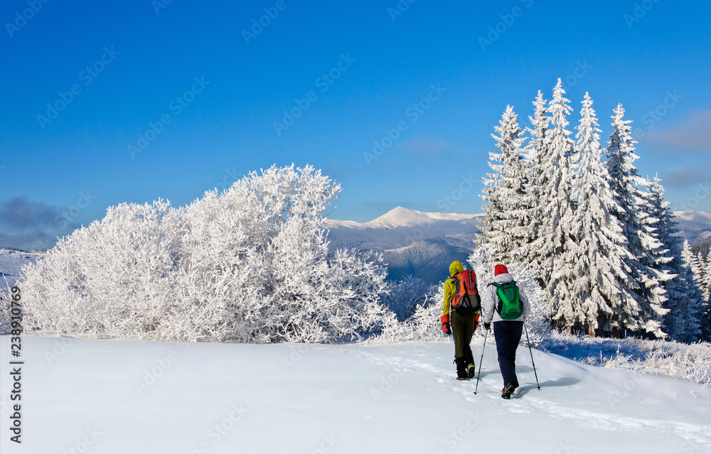 A man and woman with backpacks are walking through a snowy forest