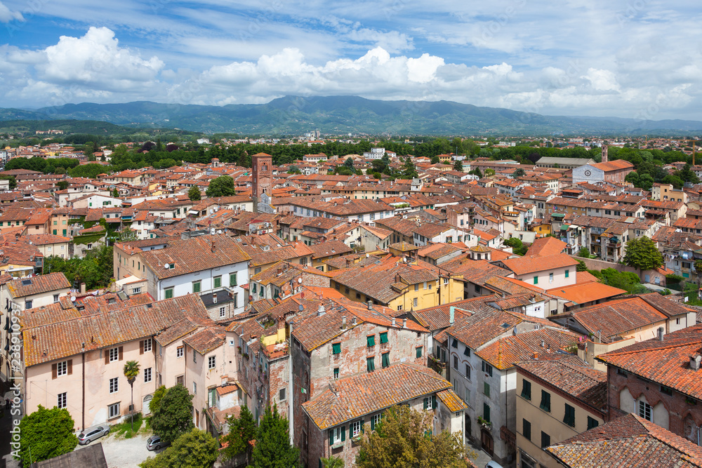 Blick über die Dächer von Lucca vom Turm Guinigi