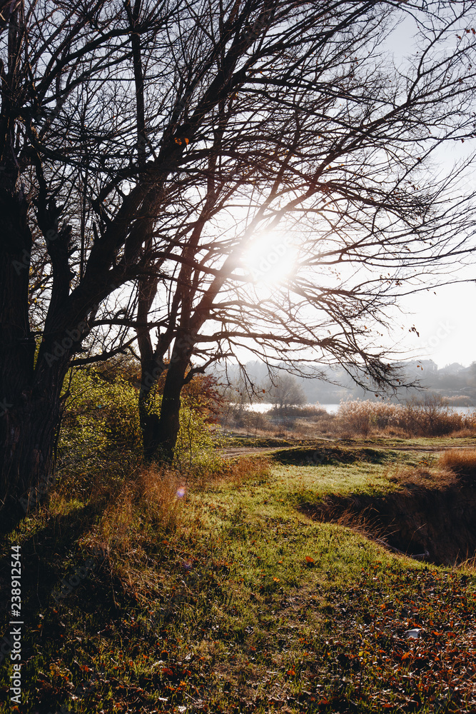 Autumn landscape in early sunny morning Autumn landscape in early sunny morning
