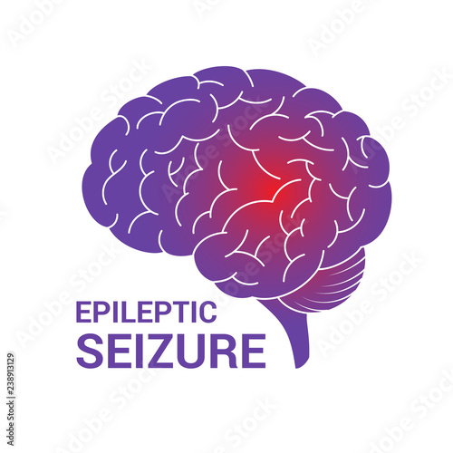 Brain vector icon