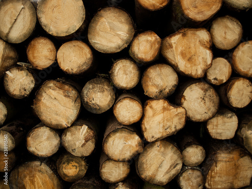 Photo of logs of fire wood