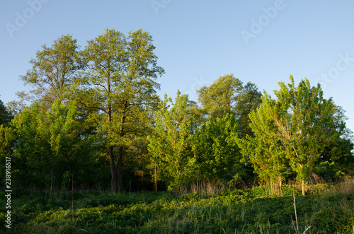 Orthodoxes Kloster  Ukraine.