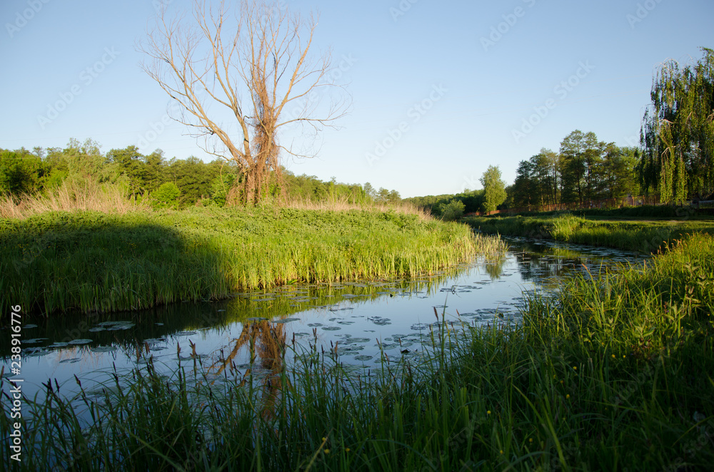 Fototapeta premium Orthodoxes Kloster, Ukraine.