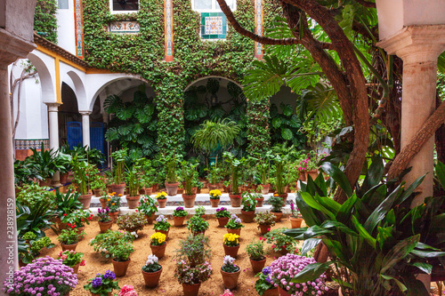 Típico patio andaluz lleno de flores y plantas