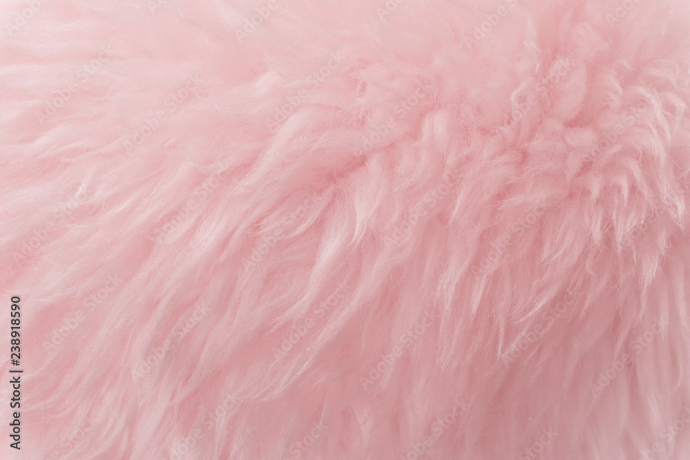 Pink animal wool texture background. Rosy tint natural wool. Close-up texture of plush fluffy fur Pink animal wool texture background. Rosy tint natural wool. Close-up texture of plush fluffy fur