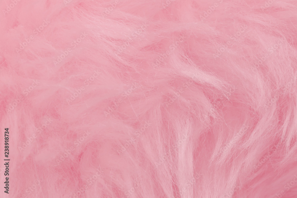 Pink animal wool texture background. Rosy tint natural wool. Close-up texture of plush fluffy fur Pink animal wool texture background. Rosy tint natural wool. Close-up texture of plush fluffy fur