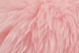 Pink animal wool texture background. Rosy tint natural wool. Close-up texture of  plush fluffy fur