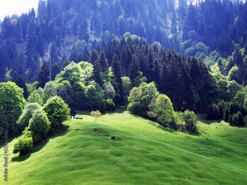 Ponds and hills in the valley Weisstannenthal - Canton of St. Gallen, Switzerland photo