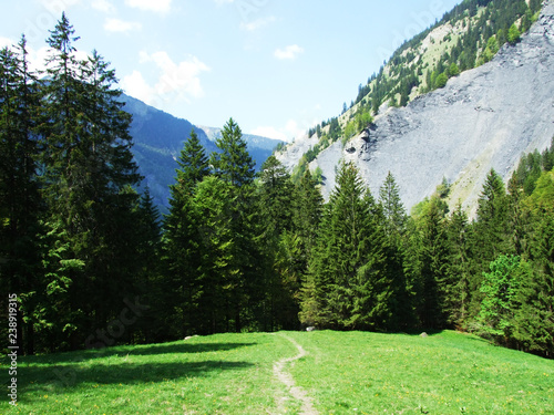 Mountains and rocks in the valley Weisstannenthal - Canton of St. Gallen, Switzerland photo