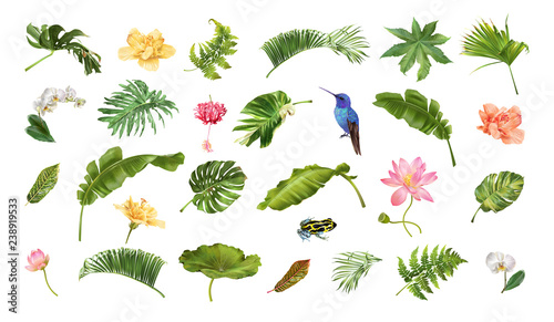 Tropical realistic plants animals and flowers set