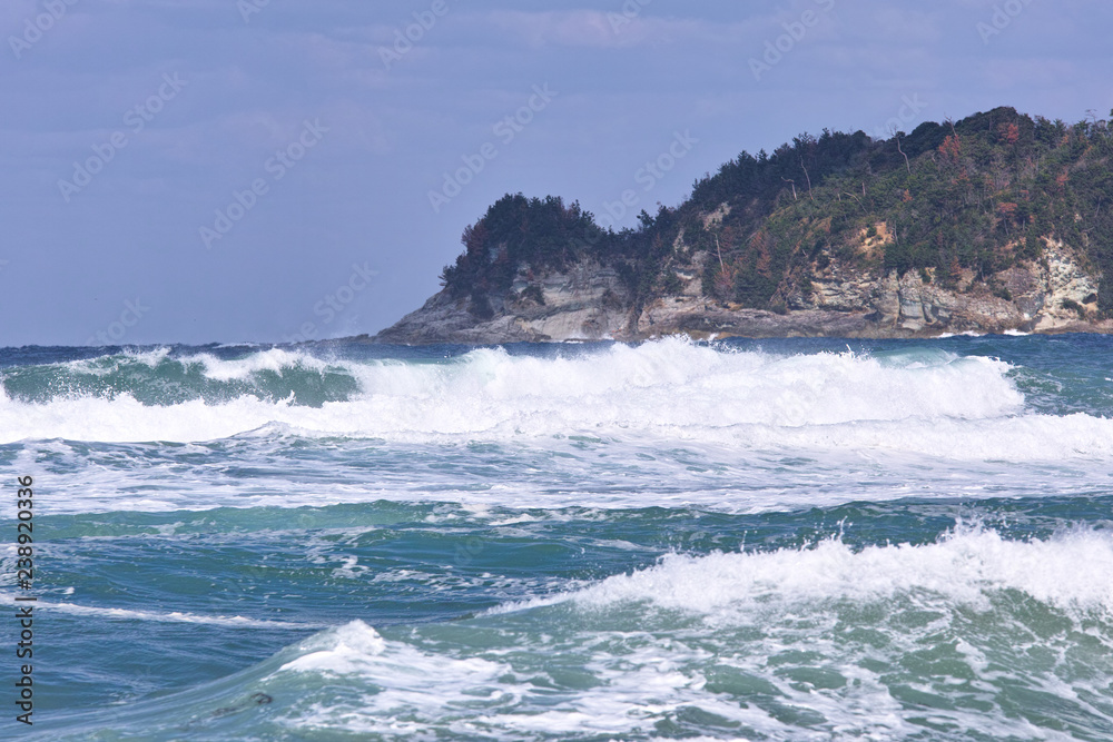 浅利海岸