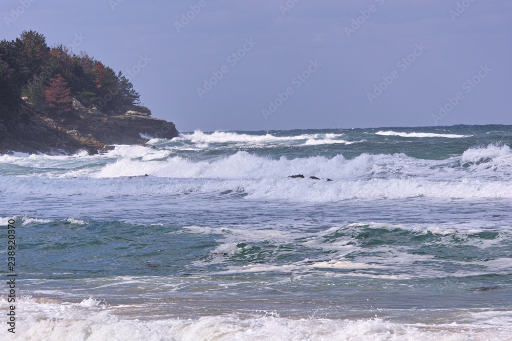 Fototapeta premium 浅利海岸