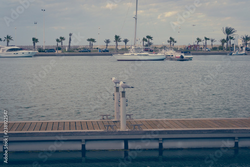 The incredible seascaping view of beach with blue sea in morocco in summer