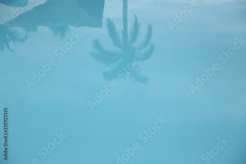 palm tree reflection in blue pool water abstract background. Summer concept background - Sea or Ocean Beach Wallpaper, postcard