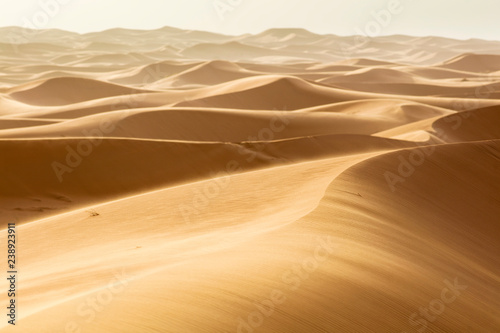 golden sand dunes with wind  in desert in Morocco