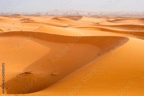incredible orange dunes in desert in Morocco