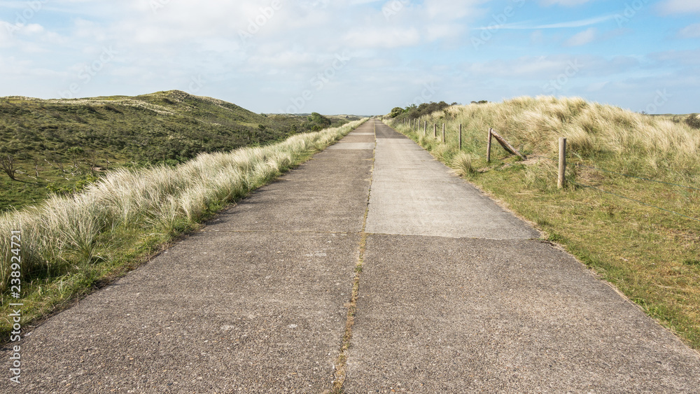 Fototapeta premium Weg durch die Dünen der Waterleidingduinen in der Nähe von Zandvoort und Amsterdam, Niederlande