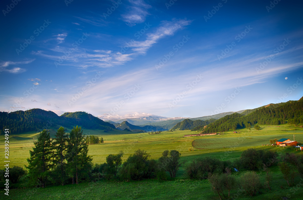 Alpine valley in the mountains of Altai