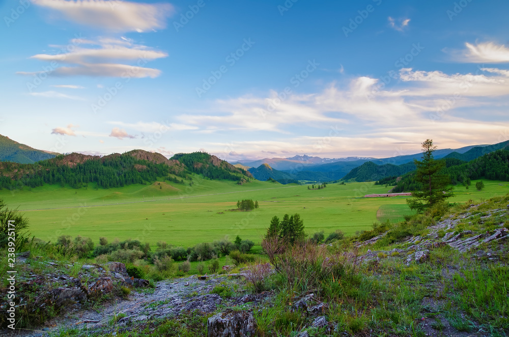 Alpine valley in the mountains of Altai