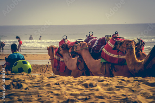 The incredible seascaping view of beach with blue sea in morocco in summer