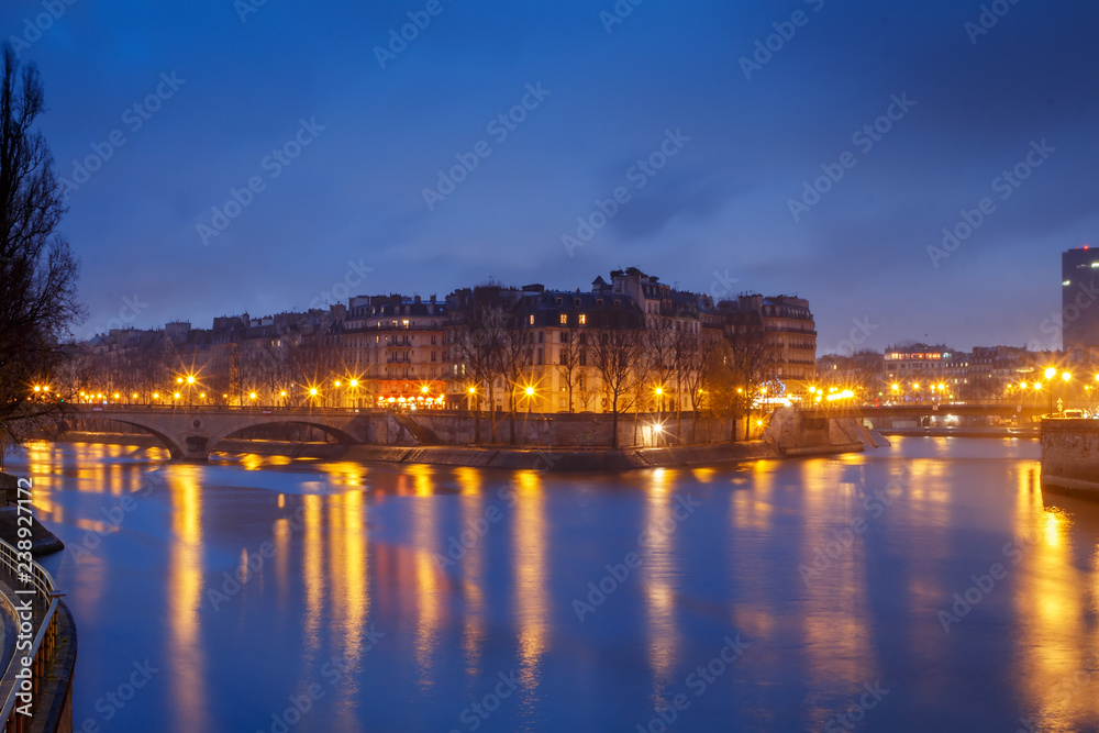 iew of the river Seine and the island with the buildings in Paris France